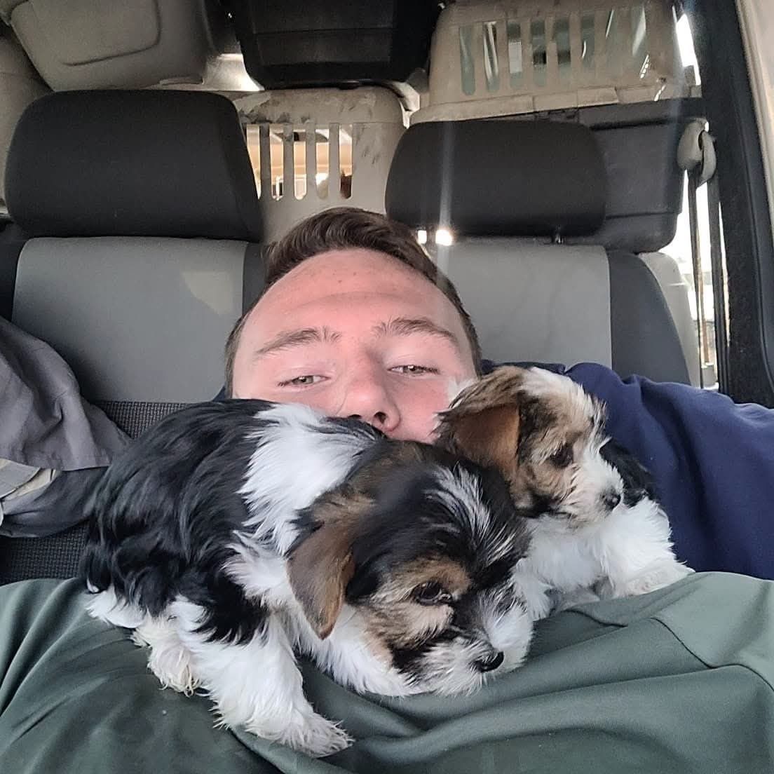Three puppies asleep across the driver's chest during a rest stop