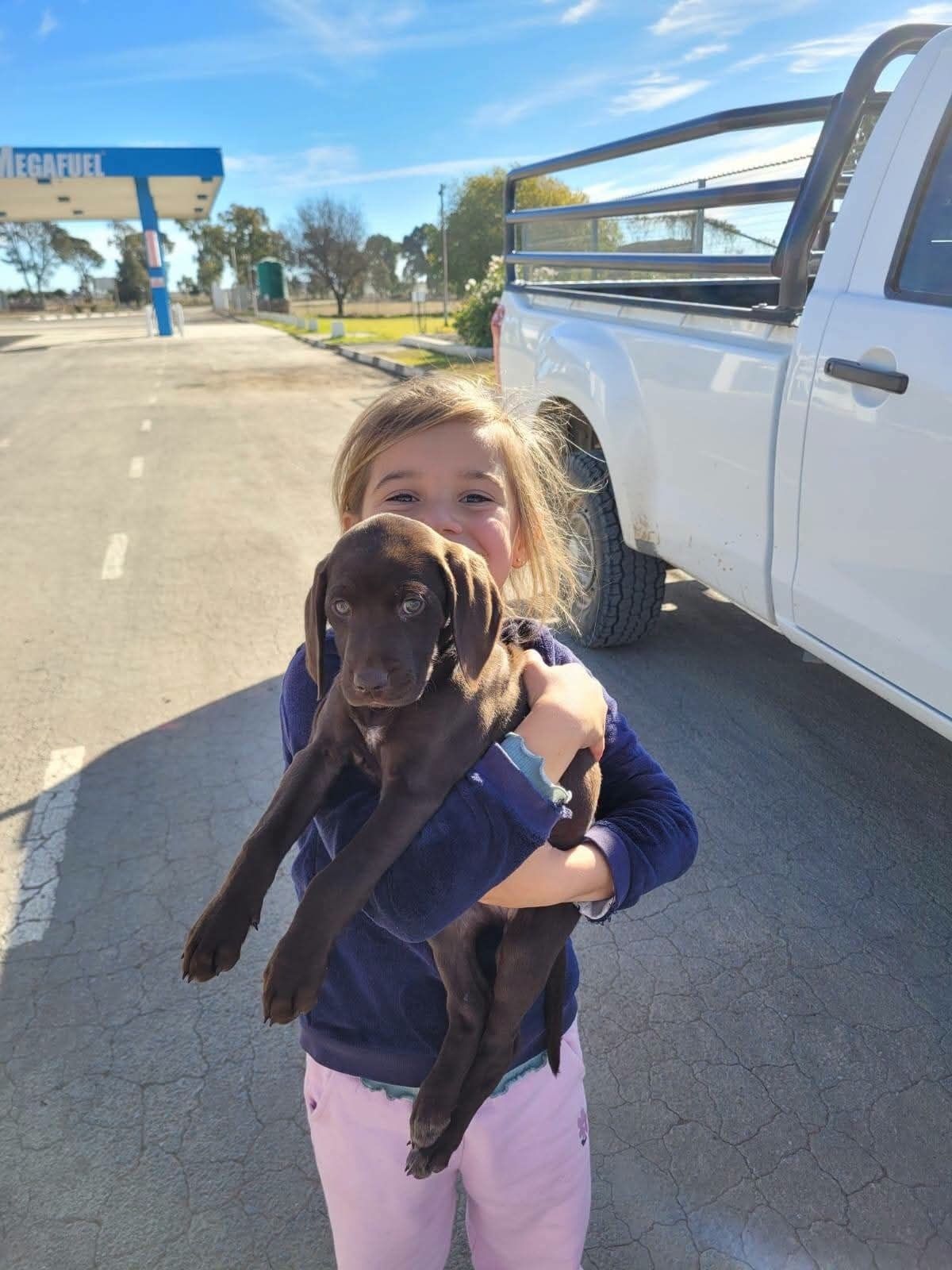 A young girl on the driveway with her brown puppy