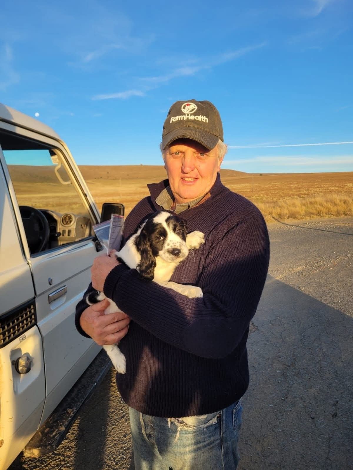 A dog collected beside the vehicle on an open stretch of highveld road
