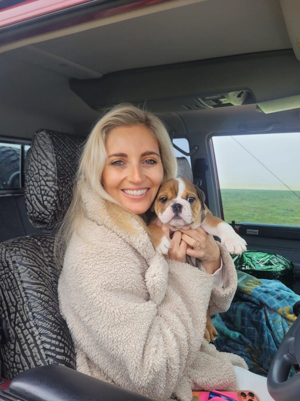 A spaniel puppy settled in the vehicle before setting off