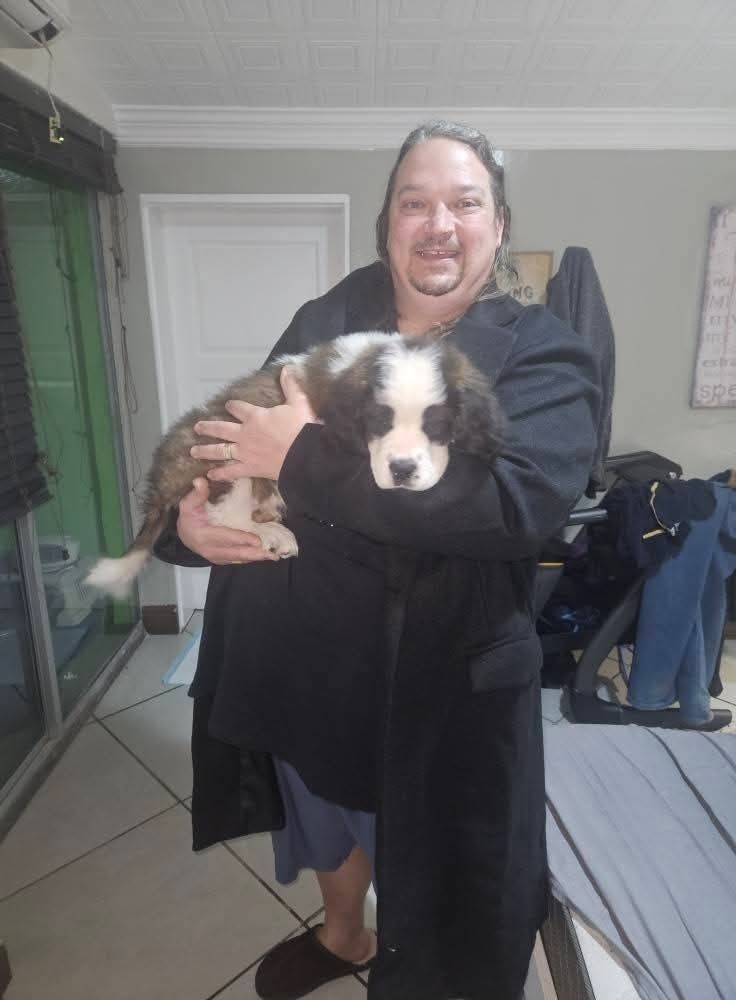 A large fluffy puppy carried indoors by her new owner