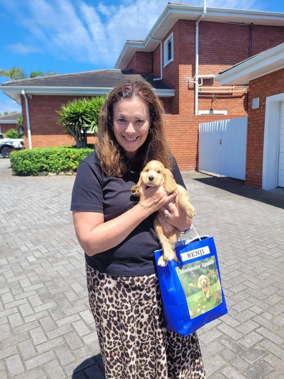 A golden spaniel puppy delivered with her welcome bag