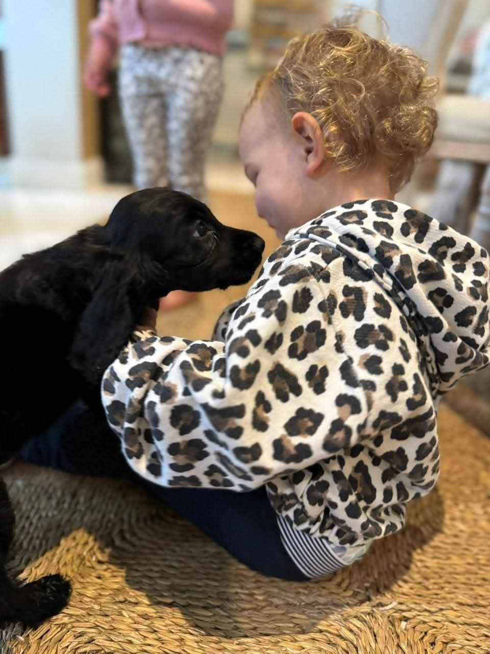 A toddler meeting the family's new puppy for the first time at home
