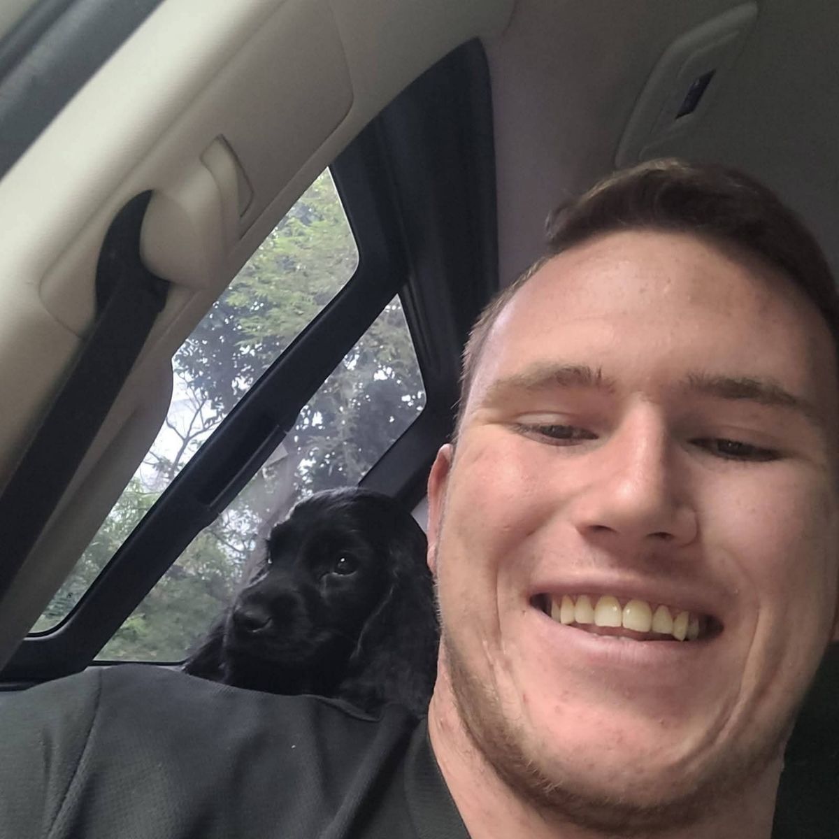 A puppy riding up front with the driver on the last leg
